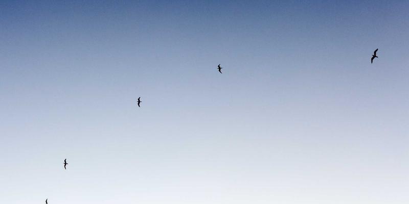 JOJO83011:一个数字生活家的个人博客实践与精神角落