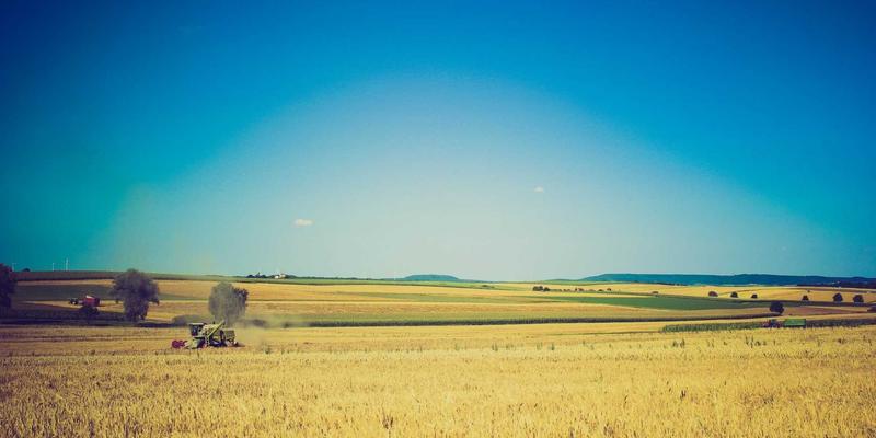 JOJO83068：以设计思维构建数字生活，打造个人博客的独特叙事