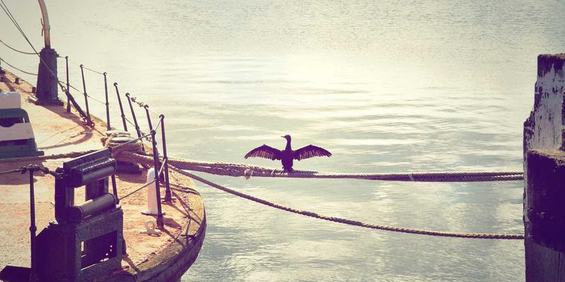 JOJO83082：解码数字时代的设计哲学与生活美学