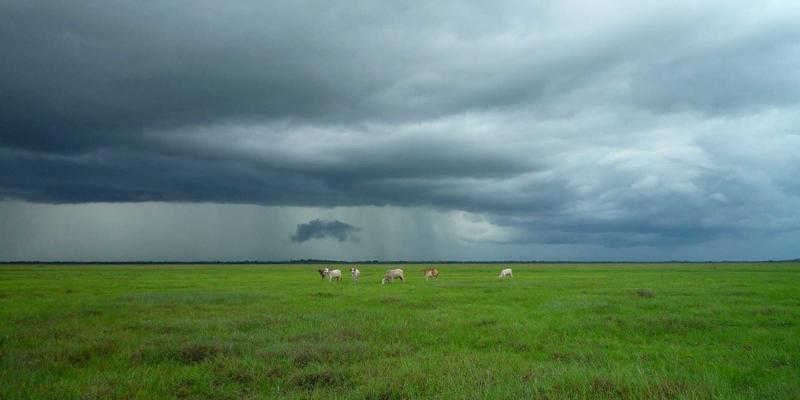 JOJO83090：蒸汽波美学与数字生活的精神共振
