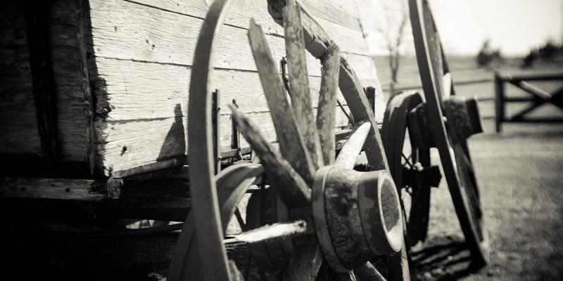 JOJO830与Z世代对话：解码数字生活时代的情感连接密码