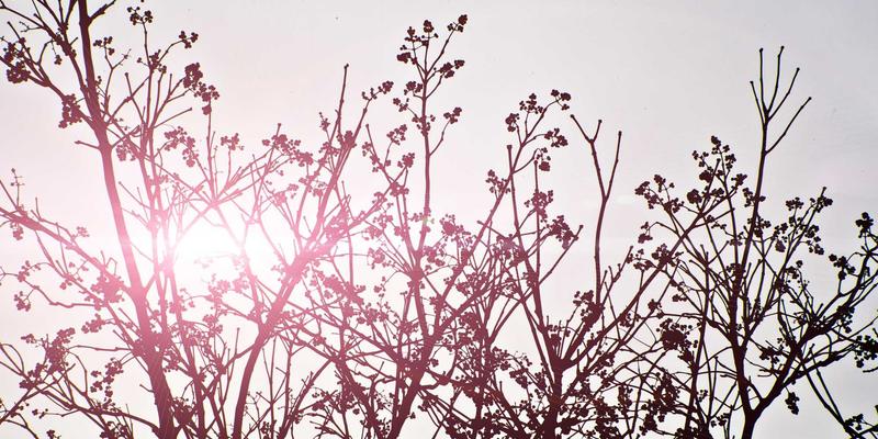 JOJO830启示录：独立设计师如何借数字生活与蒸汽波美学，零资本建立影响力