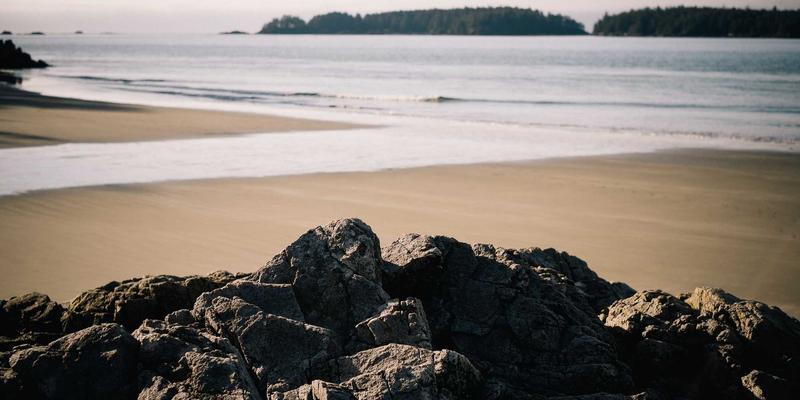 JOJO830社群运营解码：如何以蒸汽波美学与个人博客构建高粘性数字原生文化圈层