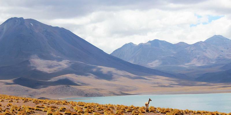 JOJO830美学与蒸汽波浪潮：如何重塑独立设计师的视觉语言