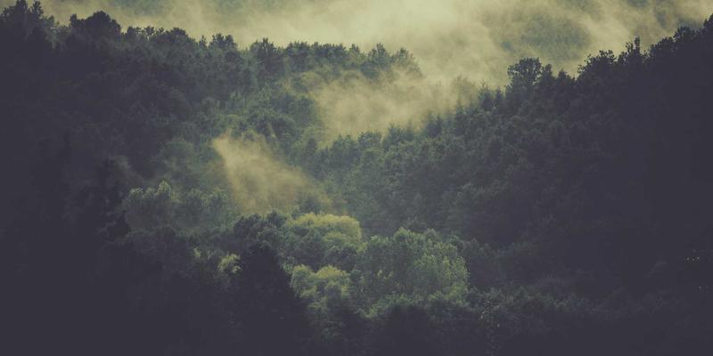 从JOJO830到个人博客美学：迷因文化如何重塑当代设计语言与品牌传播