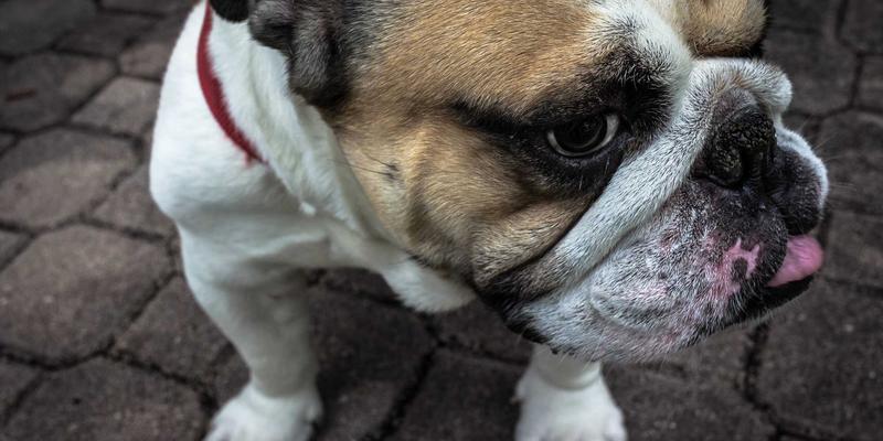 从JOJO830看Z世代消费密码：蒸汽波美学、数字生活与设计如何驱动情感付费