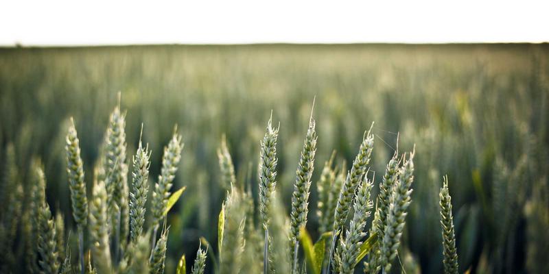 从JOJO830看独立美学品牌：蒸汽波浪潮下的IP孵化与数字生活版权管理新范式