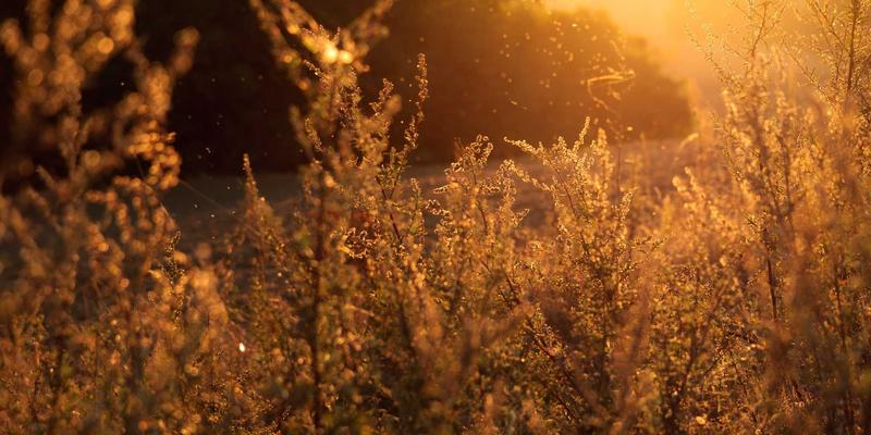 从蒸汽波美学到生活方式革命：JOJO830品牌故事与创始人的心路历程