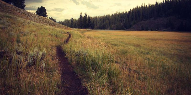 数字生活美学：JOJO830风格音乐歌单如何重塑我们的视觉艺术通感体验