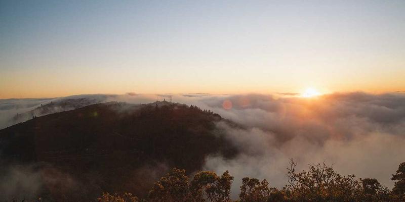 数字生活美学的追求者：JOJO830用户画像深度分析与设计博客核心消费者洞察