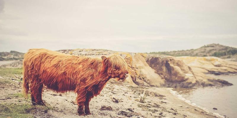 设计美学与数字资产管理：个人博客如何系统化构建内容资产库
